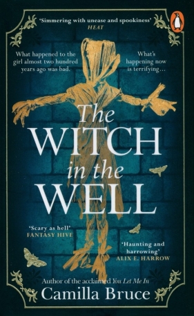The Witch in the Well - Bruce Camilla