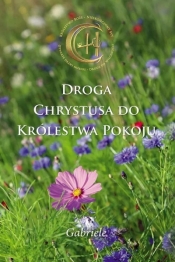 Droga Chrystusa do Królestwa Pokoju - Gabriele