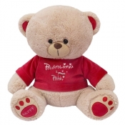 Miś w koszulce "Pozdrowienia z Polski" 22cm