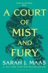 A Court of Mist and Fury Sarah J. Maas