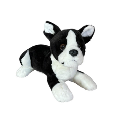 Pies boston terrier 28cm