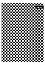 Teczka kartonowa z gumką biało-czarna UV 24x31cm - Skate