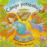 Czego potrzebuję