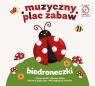 CD Z KSIĄŻKĄ BIEDRONECZKI MUZYCZNY PLAC ZABAW