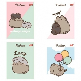 Zeszyt A5 32 kartki w 3 linie kolorowe 70 g/m2 Pusheen