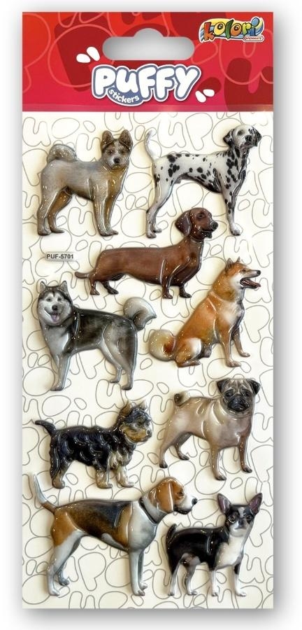 <img src='https://webimage.pl/pics/164/6/d5906910836164.jpg'>