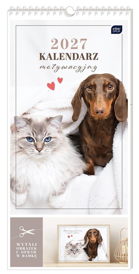 <img src='https://webimage.pl/pics/164/7/d5902277397164-2.png'>