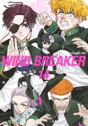 Wind Breaker #14 - Satoru Nii