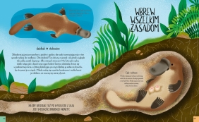 Królowe świata zwierząt.  Niezwykłe przedstawicielki płci żeńskiej - Carly Anne York