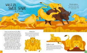 Królowe świata zwierząt.  Niezwykłe przedstawicielki płci żeńskiej - Carly Anne York