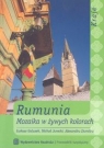 Rumunia Mozaika w żywywch kolorach Galusek Łukasz, Jurecki Michał, Dumitru Alexandru