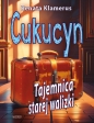 Cukucyn. Tajemnica starej walizki - Renata Klamerus