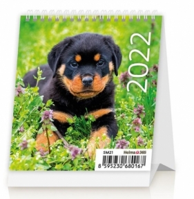 Kalendarz 2022 Biurkowy Mini. Pieski