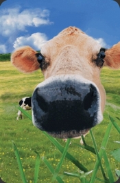 Minikartka 3D - Krowa