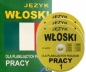 Język włoski dla planujących podjęcie pracy z płytą CD