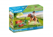 Playmobil Country: Kucyk Connemara (70516)