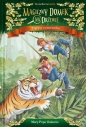 Magiczny domek na drzewie. Tygrysy o zmierzchu. Tom 19 - Mary Pope Osborne, Will Osborne