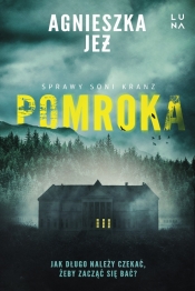Pomroka. Wielkie Litery - Agnieszka Jeż