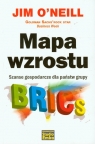 Mapa wzrostu. Szanse gospodarcze dla państw grupy Jim O`Neill