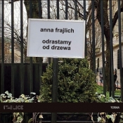 Odrastamy od drzewa - Anna Frajlich