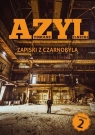 Azyl. Zapiski z Czarnobyla w.2 Tomasz Ilnicki