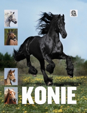 Konie - Wengerek Karolina
