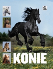 Konie