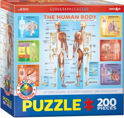 <img src='https://webimage.pl/pics/169/0/d628136310000.jpg' style='height:440px' /> Puzzle 100 Smartkids The Human Body 6200-1000