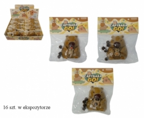 Gniotek kapibara płaska