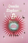 Quarks Elephants & Pierogi / Instytut Adama Mickiewicza.