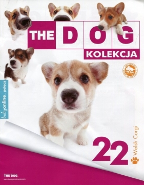 Dog Kolekcja 22 Corgi + maskotka