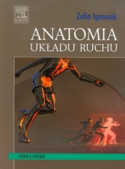 Anatomia układu ruchu