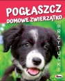 Przytulki Pogłaszcz domowe zwierzątko Kawałko-Dzikowska Natalia