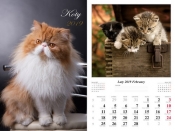 Kalendarz 2019 wieloplanszowy Koty - Jurkowlaniec Marek