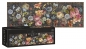 Interdruk, Puzzle panoramiczne 1000: Flowers 6 - Climbing Plants