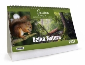 Kalendarz 2021 Biurkowy Galileo Dzika Natura CRUX - Praca zbiorowa