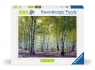 Ravensburger, Puzzle 1000: Brzozowy las (12000117) Wiek: 14+