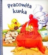 Pracowita kurka