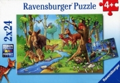 Puzzle Mieszkańcy lasu 2x24 (RAP091171)