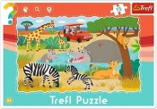 15 elementów Ramkowe - Safari (31217)