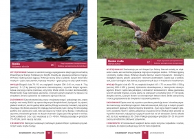 Kieszonkowy atlas ptaków. 180 gatunków - Jan Król