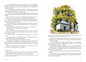 Od Pogórza po Bieszczady. Legendy i opowieści ziemi podkarpackiej - Zenon Gierała