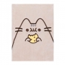 Notes pluszowy A5 Pusheen