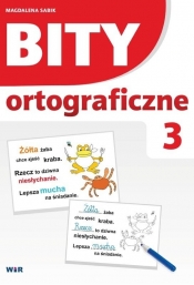 Bity ortograficzne. Zestaw 3 - Magdalena Sabik