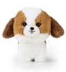 Maskotka TEDDY PETS SHIH TZU null