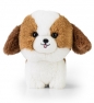 Maskotka TEDDY PETS SHIH TZU - null
