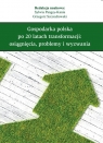 Gospodarka polska po 20 latach transformacji osiągnięcia, problemy i