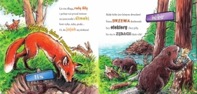 W lesie na spacerze - Wiesław Drabik