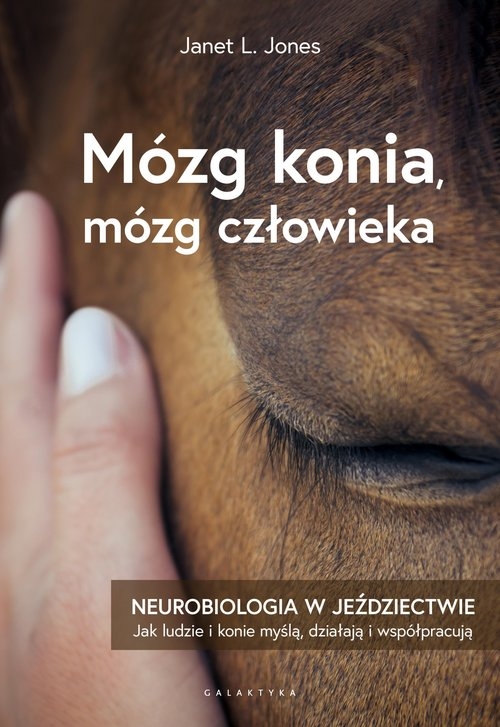 Mózg konia, mózg człowieka.