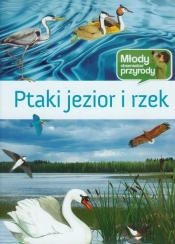 Ptaki jezior i rzek Młody obserwoator przyrody - Brodacki Michał